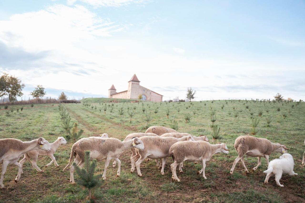 فندق Escons Domaine De Charme Saint-Sulpice-sur-Leze المظهر الخارجي الصورة